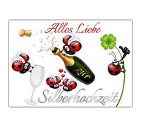 A4 XXL Card Silver Wedding Ladybird with Envelope - Funny Folding Card for 25th Wedding Anniversary - Silver Wedding Greetings Card by Breitenwerk