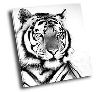 A462 Black White Square Animal Canvas Picture Prints Small Wall Art Bengal Tiger