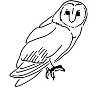 A5 'Barn Owl' Wall Stencil/Template (WS00029412)