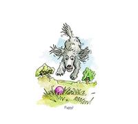 A5 Greeting card Puppy dog jumping onto a ball - for thank you's, invitations, birthdays etc. Blank inside for your own message and cellophane wrapped with an envelope (AC75)