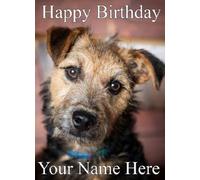 A5 Personalised Lakeland Terrier Dog Birthday Card refPIDOA10