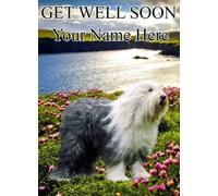 A5 Personalised Old English Sheepdog Get Well Soon Card refPID100