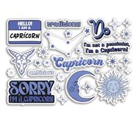 A5 Sticker Sheet Capricorn Vinyl Stickers - Blue Zodiac Star Sign Horoscope Traits Stars Groovy Astrology Girls Women Aesthetic #81867