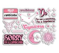 A5 Sticker Sheet Capricorn Vinyl Stickers - Pink Zodiac Star Sign Horoscope Traits Stars Groovy Astrology Girls Women Aesthetic #81866