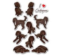 A5 Sticker Sheet Chocolate Cockapoo Vinyl Stickers - Dogs Puppy Cavapoo Breed Animals Scrapbooking Label Girls Boys Aesthetic #82971