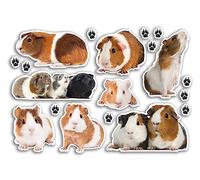 A5 Sticker Sheet Guinea Pig Vinyl Stickers - Pets Rodent Animals Scrapbooking Travel Decoration Label Friend Girls Boys Aesthetic #80798