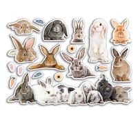 A5 Sticker Sheet Rabbit Vinyl Stickers - Funny Animals Bunny Pets Scrapbooking Travel Decoration Label Friend Girls Boys Aesthetic #80815