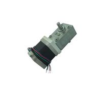 A58SW-42BYS 12V DC electronic starter Worm Stepper Gear electronic starter 24V Reduction electronic starter Double Output Shaft High Torque Synchronizable Self-locking EKFBQBGW(Ratio 1-17,Package A)
