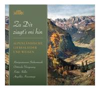 AA.VV. - Zu Dir Ziagt'S Mi Hin