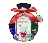 AAAS Enterprises LED Light Teddy Gift for Him Her Some one Special with Poem Ornament