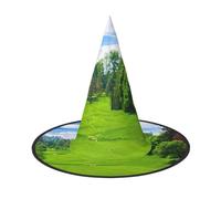 AABBfdg Pack of 2, Vancouver Golf Course Halloween Hat, Witch Hat, Fancy Dress, Cosplay Accessory, Party Decoration, One Size