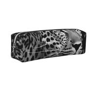 AABSTBFM Black and White Leopard Printed Square Pencil Case Cute Leather Silver Zipper Pen Pencil Pouch Bag for School, Office, and Travel