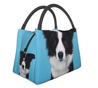 AABSTBFM Border Collie Printed Insulated Lunch Bag for Men Women Cool Lunch Boxes Foldable Lunch Tote Bag