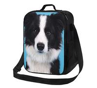 AABSTBFM Border Collie Printed Lunch Tote Bag Waterproof Lunch Bag Insulated Cooler Lunch Boxes for Men Women