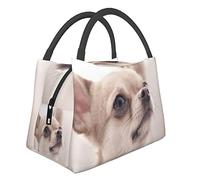 AABSTBFM Cute Chihuahua Printed Insulated Lunch Bag for Men Women Cool Lunch Boxes Foldable Lunch Tote Bag