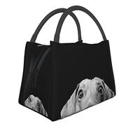 AABSTBFM Pad Dachshund Printed Insulated Lunch Bag for Men Women Cool Lunch Boxes Foldable Lunch Tote Bag