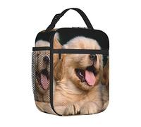 AABSTBFM Portable Insulated Lunch Bag Golden Retriever Dogs Puppies Pets Printed Waterproof Cooler Lunch Boxes Lunch Tote Bag for Men and Women
