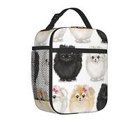 AABSTBFM Portable Insulated Lunch Bag Pomeranians Pattern Printed Waterproof Cooler Lunch Boxes Lunch Tote Bag for Men and Women