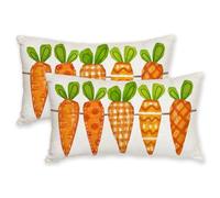AACORS Easter Pillow Covers 12X20 Inch Set of 2,Five Watercolor Carrots Decorations Holiday Farmhouse Decorative Spring Pillow Case for Home Sofa Couch AK042-12