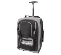 Aafan Underseat Cabin Bag 20L for Ryanair & EasyJet, Flight Approved Carry On Hand Luggage, Lightweight Travel Bag with 2 Wheels,360° Spinner, Extendable Handle, Multi-Pocket (Black)
