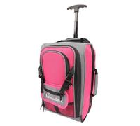 Aafan Underseat Cabin Bag 20L for Ryanair & EasyJet, Flight Approved Carry On Hand Luggage, Lightweight Travel Bag with 2 Wheels,360° Spinner, Extendable Handle, Multi-Pocket (Pink)