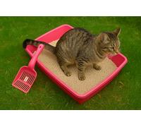 AaH1 Cat Litter Tray Large Open Top 46cm, cat dog litter tray indoor outdoor use Sturdy, Deep & Easy to Clean - Stackable & Odour-free Litter Tray (Pink Scoop & Tray)