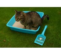 AaH1 Cat Litter Tray Large Open Top 46cm, cat dog litter tray indoor outdoor use Sturdy, Deep & Easy to Clean - Stackable & Odour-free Litter Tray (Teal Tray & Scoop)