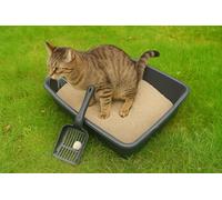 AaH1 Cat Litter Tray Large Open Top 46cm, cat dog litter tray indoor outdoor use Sturdy, Deep & Easy to Clean - Stackable & Odour-free Litter Tray (Black Tray & Scoop)