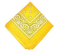 Aamera Cotton Face Masks, Paisley Print Bandanas, scarves (Yellow)