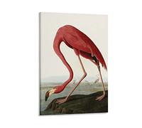 AAOTE American Flamingo - by John James Audubon Painting Art Posters Posters Art Print Wall Photo Paint Poster Hanging Picture Family Decor 20x30inch(50x75cm)