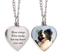 AAQ Personalised Ashes Necklace for Ashes - Cremation Jewellery Urn Keepsake Pendant for Pet Dog Cat Human - Memorial Locket with Photo Holder for Women Men (Color-Heart)
