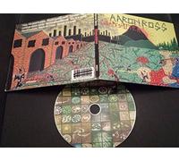 Aaron Ross - Shapeshifter