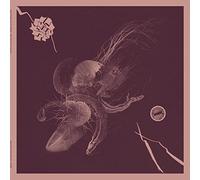 Aaron Turner & Jon Mueller - Now That You've Found It [VINYL]