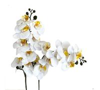 Aartner 2 PCS Artificial Flower 24" Long Stem Butterfly Orchid, Big Size Lifelike Phalaenopsis, PVC Fake Flowers, 8 Heads Bulk Real Touch Large Bloom Stem Plants for Wedding Bridal Home Décor (White)