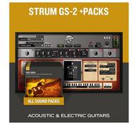 AAS Strum GS-2+Packs