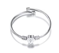aaSccex 26 Letters Stainless Steel Wire Bracelet Heart Shaped Bracelet Necklace Poland (V, One Size)
