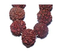 Aashita Creations Orignal Pure 5 Mukhi Rudraksha Mala 17-20mm Big size 108+1 Beads