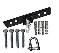 Aasta Heavy duty Punch Bag Ceiling Hook with D-Shakle Hanging Attachment Hook