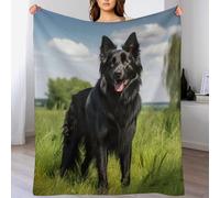 AASWDDS Cute Dog Blanket, Machine Washable Flannel Plush Throw Blankets for Bed Couch Sofa Chair, for Kids Boys Girls, 150×200cm