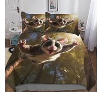 AASWDFR Sugar Glider Bedding Duvet Cover 3 Pcs Set for Kids Boys Bedroom Quilt Cover Soft Microfiber Comforter Cover with Pillowcase Double (200x200cm)
