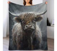 AASWSWW Highland Cow Soft Plush Throw Blanket Warm Cozy Fur Throws for Sofa, Couch, Chair, Anti-pilling Quality Washable Bed Blankets, （130×180cm）