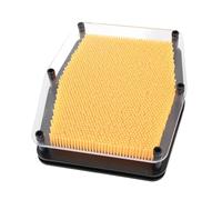 Aatraay 3D Pin Art Board, Sensory Toy for Autism Stress Relief with Acrylic Frame, Tactile Stimulation for Kids Adults Classroom Office Decor