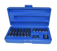 AB Tools 1/2" Drive Shallow And Deep Male Torx Star Bits T20 - T55 15Pcs By Bergen