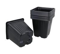 AB Tools 9Cm Square Plant Flowers Seeds Seedling Plastic Pots Trays Containers 12Pc