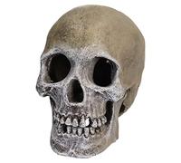AB Tools Aquatic Aquarium Decor Life-Like Human Skull Fish Tank Ornament 11x17x14cm