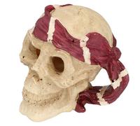AB Tools Medium Aquatic Aquarium Red Pirate Skull Head Fish Tank Ornament 9X13X14Cm