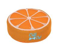 AB Tools Orange Chillout Cool Dog Puppy Heat Relief Toy Summer Heat Fruit Toy Game