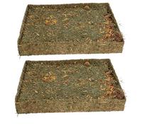 AB Tools Small Animal Pet Treat Rabbit Guinea Pig Nibble 'n' Dig Meadow 2 Pack