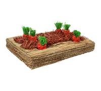 AB Tools Small Animals Rabbit, Guinea Pigs Activity Toys Carrot Play Patch 17X26Cm