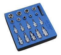 AB Tools Torx / Star Male And Female Sockets And Bits E10 - E20 / T8 - T70 Bergen At807